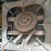 پلوپز در شازند