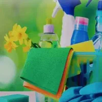 استخدام نیروی خدماتی