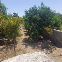 ویلا پاکدشت جمال اباد چهار دیواری|فروش خانه و ویلا|پاکدشت, پاکدشت (مامازند)|دیوار