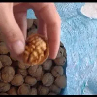 گردو بلغارستان 100کیسه کلی 510عسل زرشک وعناب