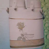 فلاسک دوقلو نو