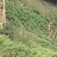 مشاوراملاک رویا