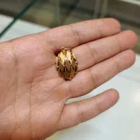 پلاک انارکی نو