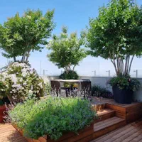 خدمات و اجرای فضاسازی باغ ویلا روفگاردن|گل و گیاه طبیعی|مشهد, هنرستان|دیوار