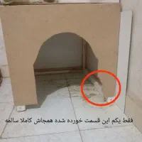 لوازم سگ وگربه|لوازم جانبی حیوانات|مشهد, علی آباد|دیوار