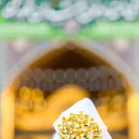 تور ریلی نقد و اقساط هتل نزدیک حرم