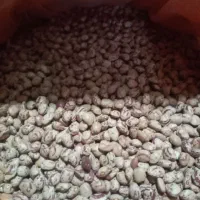 لوبیا چیتی.. لواشک.. رب انار