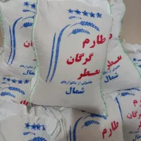 برنج طارم گرگان اصل