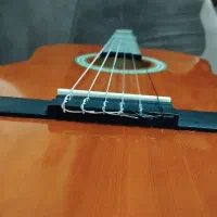 آلات موسیقی|گیتار، بیس، امپلیفایر|مشگین شهر, |دیوار