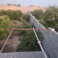 باغ|فروش زمین و ملک کلنگی|جنت, |دیوار