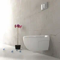 توالت فرنگی / وال هنگ