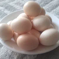 تخم مرغ محلی