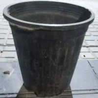 گلدان پلاستیکی|گل و گیاه طبیعی|تهران, تهرانپارس شرقی|دیوار