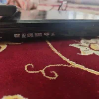 دی وی دی