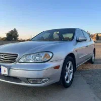 ماکسیما در حد خشک