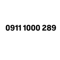 0911.1000.289