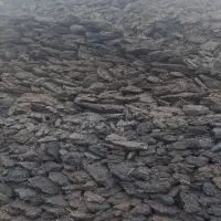 کود گوسفندی پوسیده