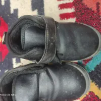 فروش کفش|کفش و لباس بچه|بوشهر, |دیوار