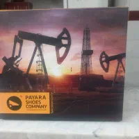 فروش کفش کار|کیف، کفش، کمربند|لامرد, |دیوار