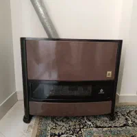 بخاری ایران کارتوس