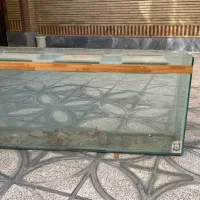 آکواریوم فقط یک میلیون