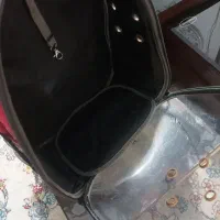 کیف حمل حیوانات