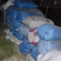 کود گوسفندی