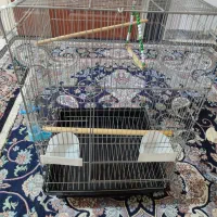قفس پرنده بزرگ ۵۰۰ تومن