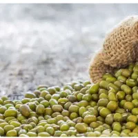 ماش بوجار شده درجه یک