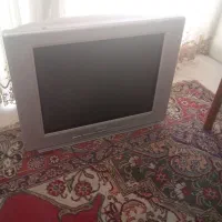 تلویزیون