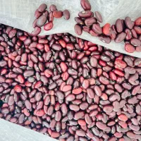 حبوبات لو بیا فقط 90|عمدهفروشی|چگنی, |دیوار