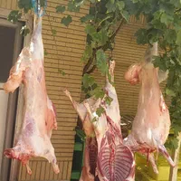 قصاب تمیزکار|خدمات پذیرایی، مراسم|مشهد, وکیل‌آباد|دیوار