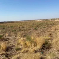 زمین کشاورزی|فروش زمین و ملک کلنگی|بناب, |دیوار