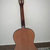 گیتار رویال 110 در حد نو|گیتار، بیس، امپلیفایر|زابل, |دیوار