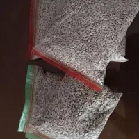 مژده مژده مغز خام و تازه آفتاب گردون شارژشد|خوردنی و آشامیدنی|سبزوار, قاضی زاد|دیوار