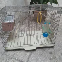 س پرنده