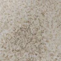 برنج کامفیروزی