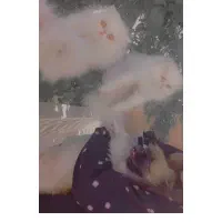 گربه پرشین ماده|گربه|کرمان, |دیوار