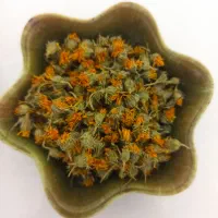 کل همیشه بهار