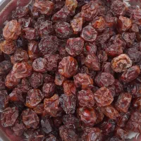 فروش عمده آلو خشک باغی