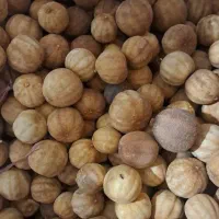 لیمو عمانی خارجی