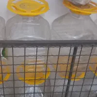 دبه ترشی|ظروف نگهدارنده، پلاستیکی، یک‌بارمصرف|رشت, پارک شهر|دیوار