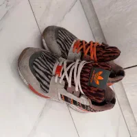 کتونی اورجینال zx انیمال