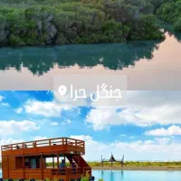 گشت جزیره قشم دربستی 1/500|تور و چارتر|قشم, |دیوار