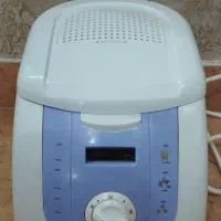 مینی سرخ کن