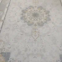 فرش نو|فرش|زاهدان, |دیوار
