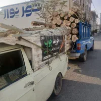 حرس و خرید چوب و زغال با قیمت مناسب