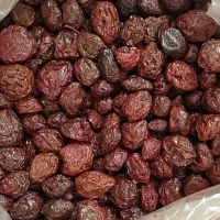 انواع آلو امساله|خوردنی و آشامیدنی|قم, شهرک مهدیه|دیوار