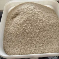 برنج ایرانی خوشپخت کیسه های ۱۰کیلویی موجود