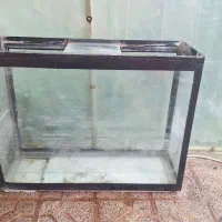 اکواریوم بزرگ